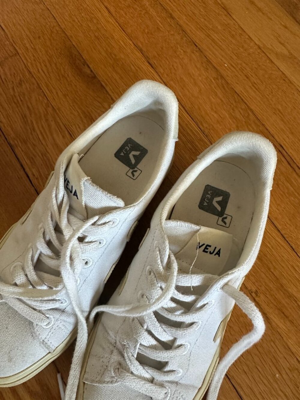 VEJA Campo Canvas Sneaker in White | Size US 6/7 EU 37 - Picture 5 of 7
